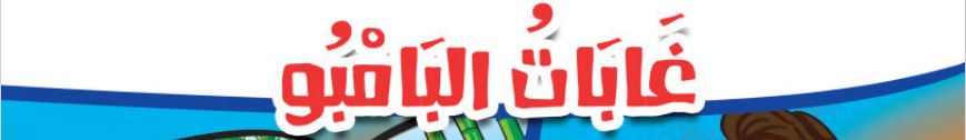 الدرس العاشر غابات البامبو